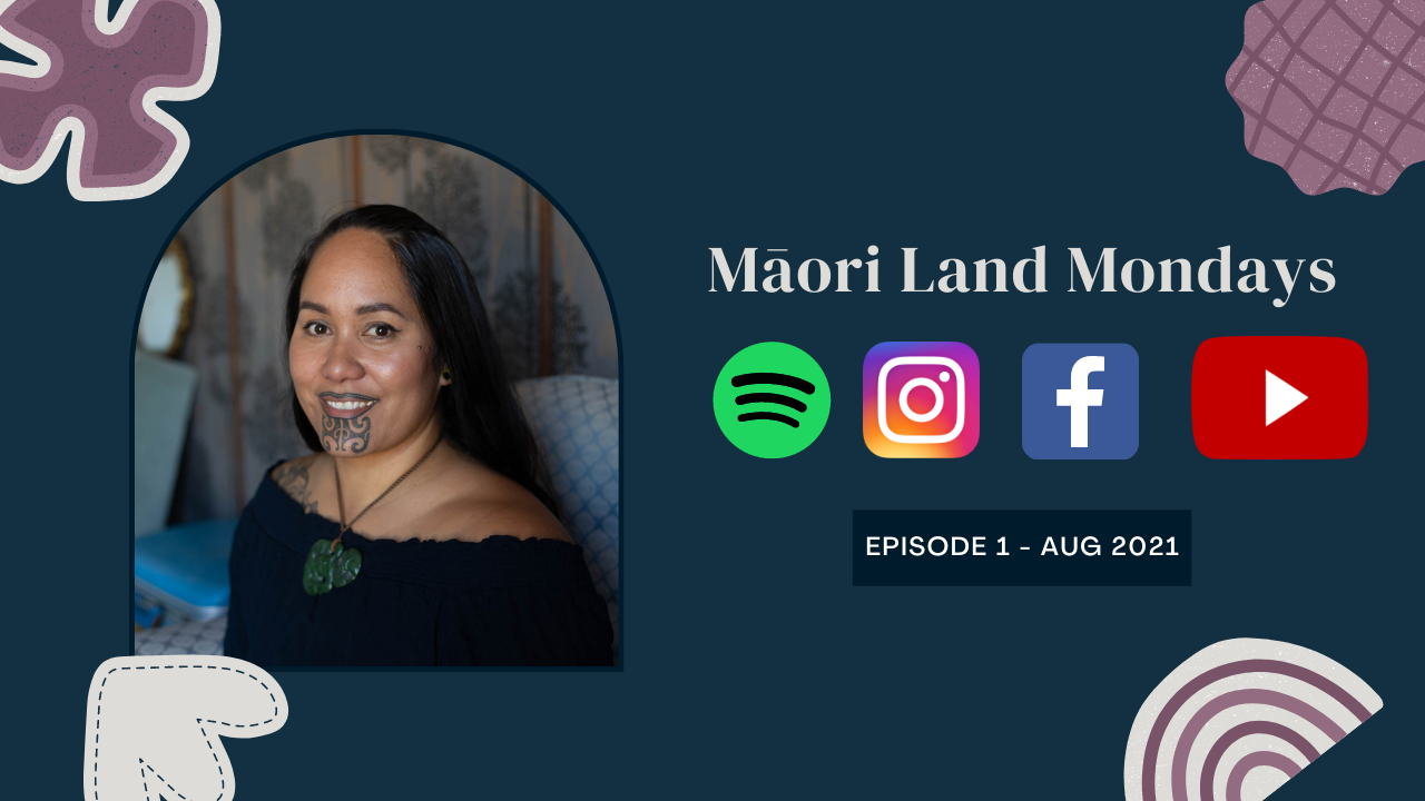 Your Expert - Inez White – Indigenuity Agency